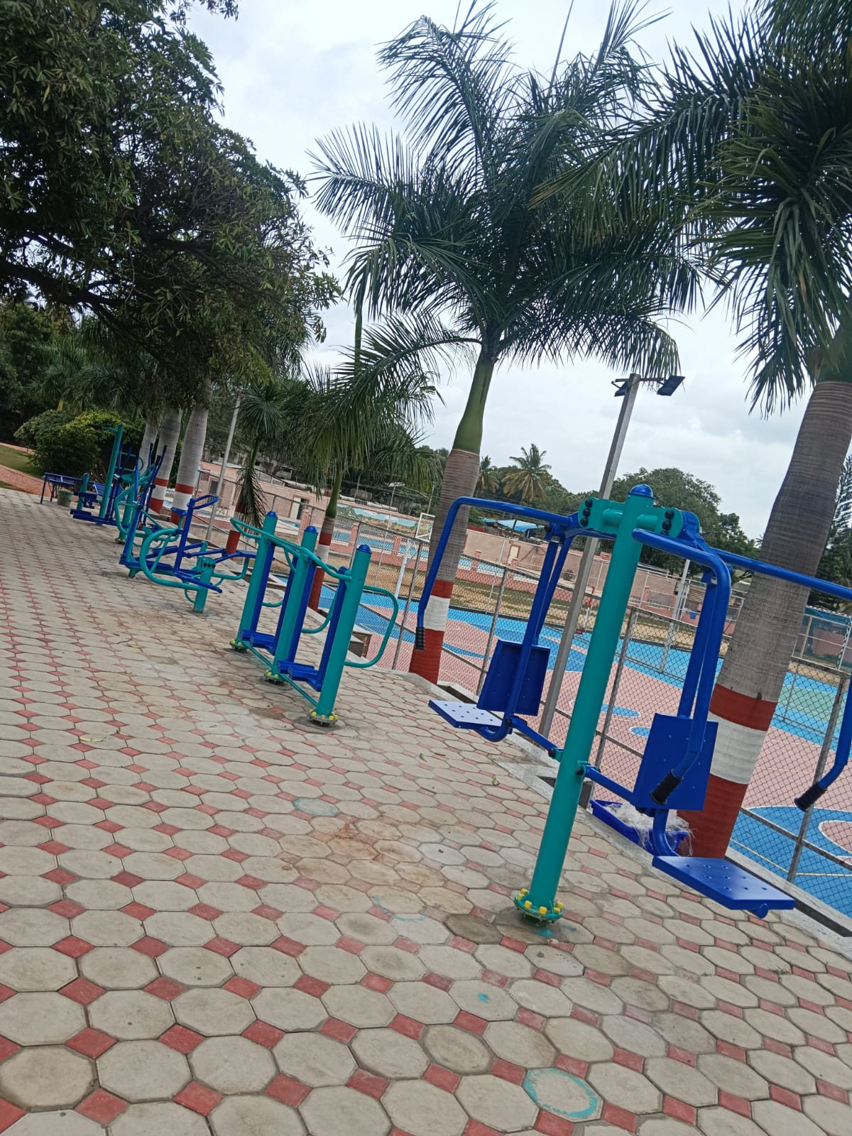 Outdoor Gym Setup